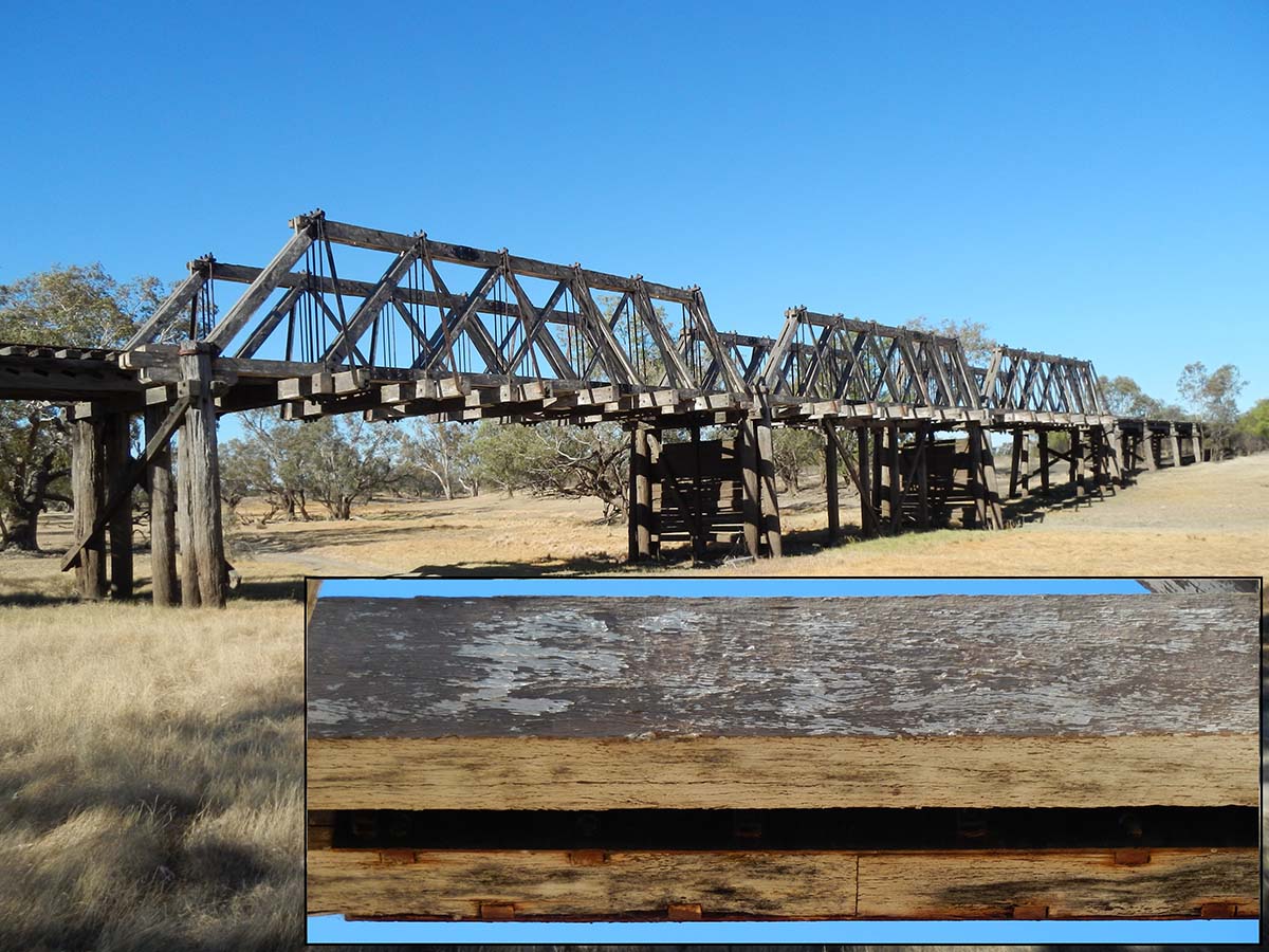 Rail bridge near Walgett NSW with Allan’s bottom chord splice